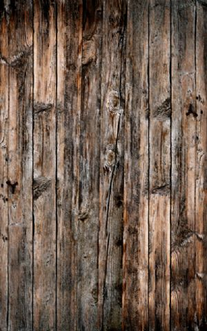 Click Props Hintergrund Vinyl mit Bild Wood Verticle Natural 1,52 x 2,44m Nr. CP-593007