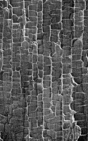 Click Props Hintergrund Vinyl mit Bild Black White Crackle 1,52 x 2,44m Nr. CP-590712