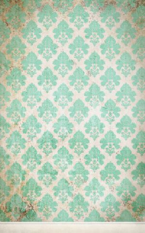 Click Props Hintergrund Vinyl mit Bild Damask Distressed Greem 1,52 x 2,44m Nr. CP-591432