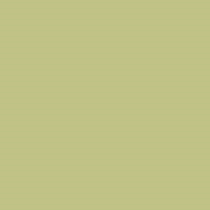 Colorama Fern 11 x 2.72 m Nr. COL112