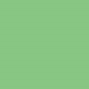 Colorama Summer Green 11 x 2.72 m Nr. COL159