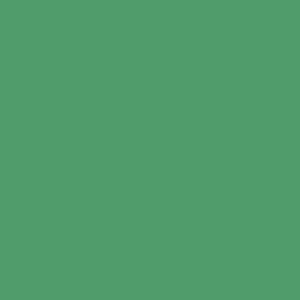 Colorama Apple Green 11 x 2.72 m Nr. COL164
