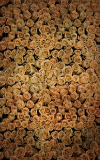 Click Props Hintergrund Vinyl mit Bild Roses Distressed Orange 1,52 x 2,44m Nr. CP-591342