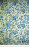 Click Props Hintergrund Vinyl mit Bild Rose Blue 1,52 x 2,44m Nr. CP-591302