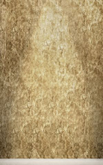 Click Props Background Vinyl with Print Golden Master 1.52 x 2.44M No. CP-590612