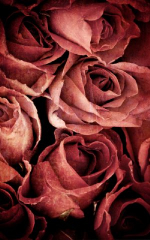 Click Props Background Vinyl with Print Rose Weathered Pink 1.52 x 2.44M No. CP-591362